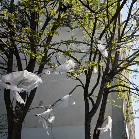 ©Philippe Bazin. Quartier des Tilleuls, Le Blanc-Mesnil, 2021