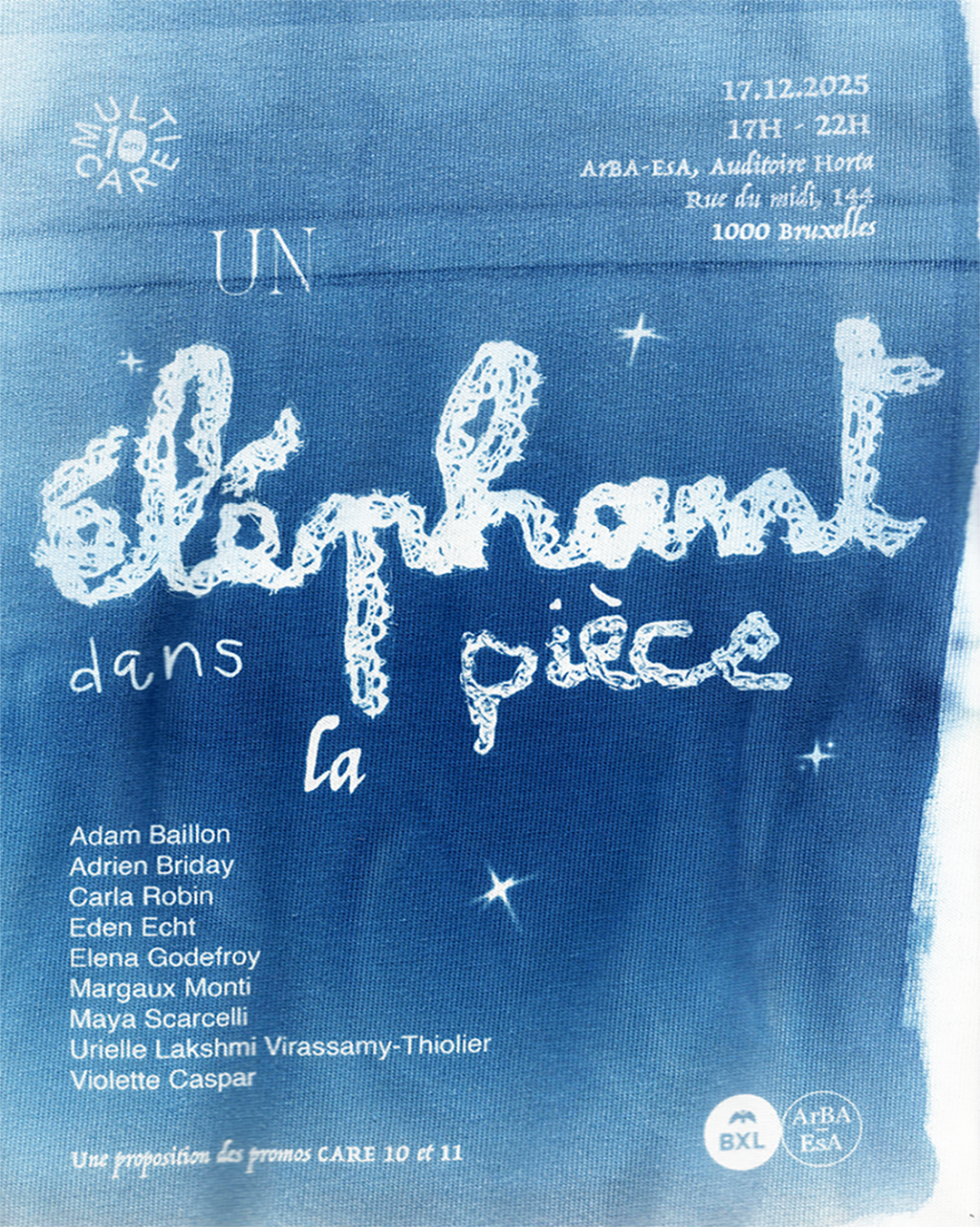 un elephant dans la pièce