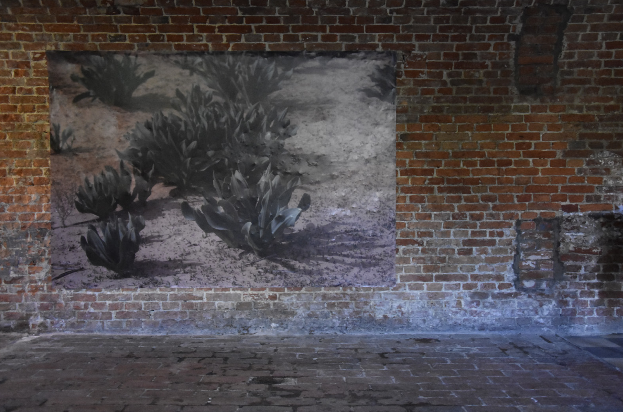 Julie Deutsch, 'Boussaye', impression digitale sur dos bleu, 93,3x 139,4 cm. Exposition "From Anywhere to Anywhere" à la Maison des Arts de Schaerbeek, juin 2019, curation par Dounia Mojahid