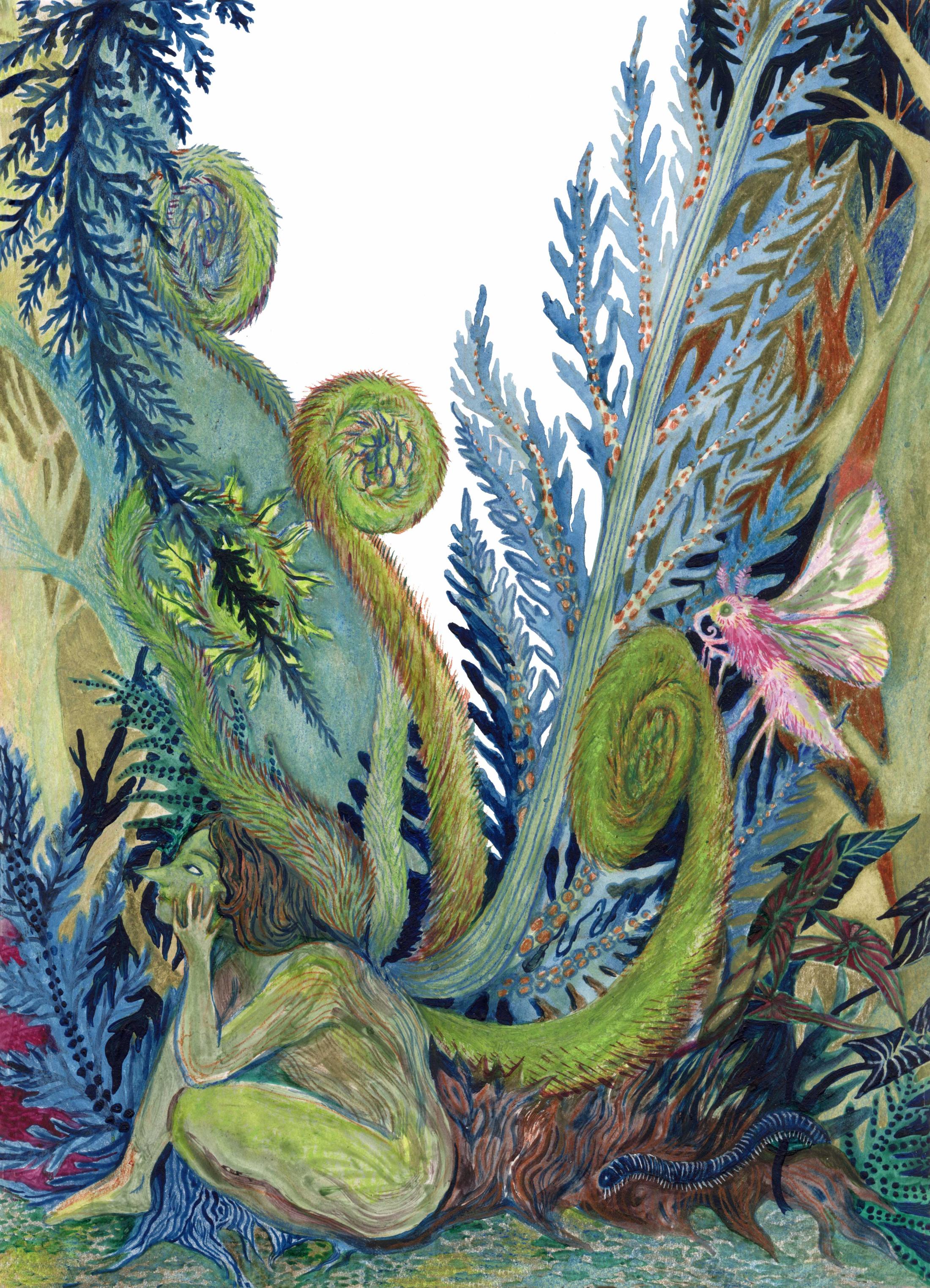 Coppens Garance, Mousses , Aquarelle et crayon de couleur, 21 x 29,7 cm