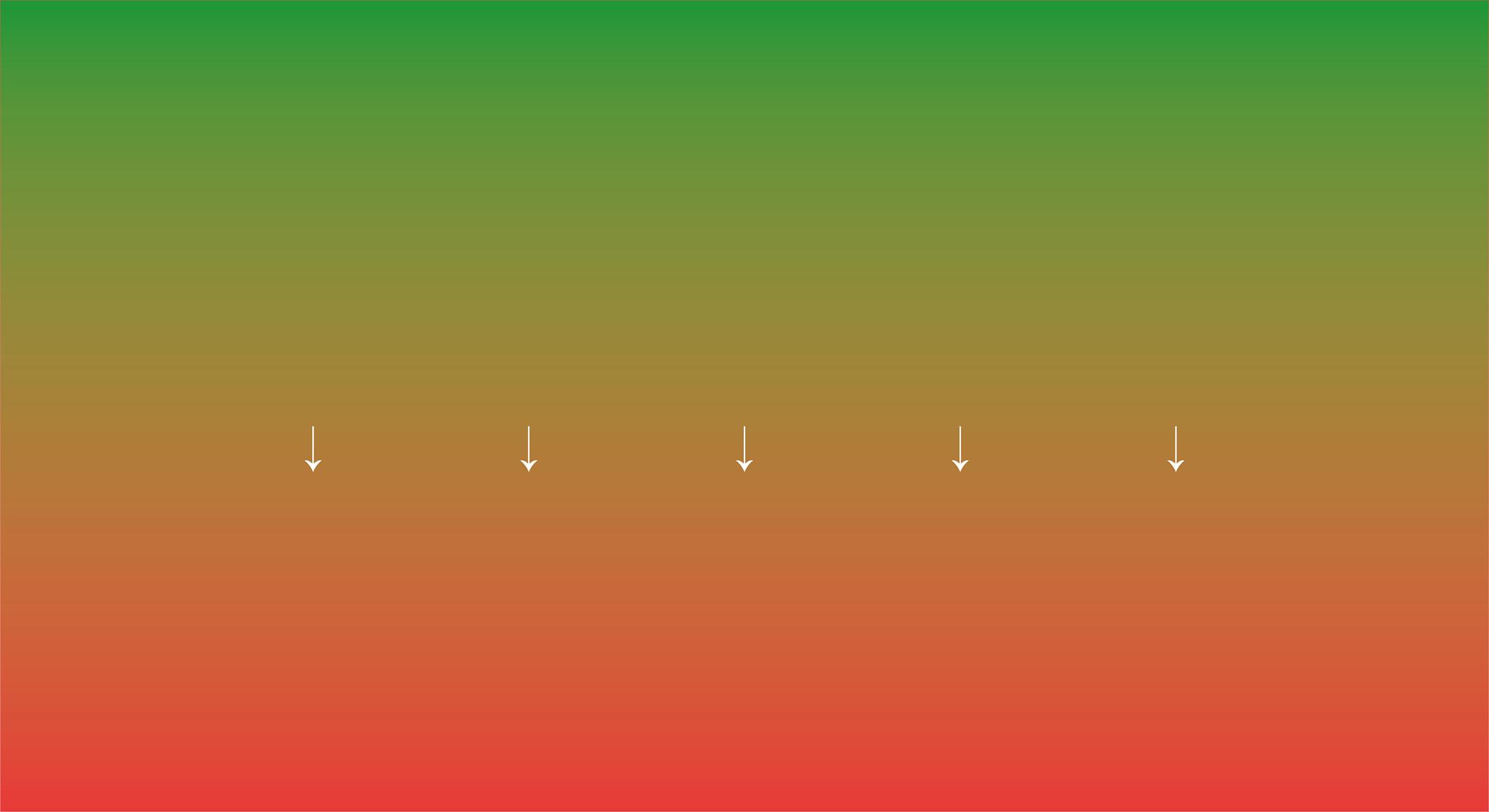 homepage 1