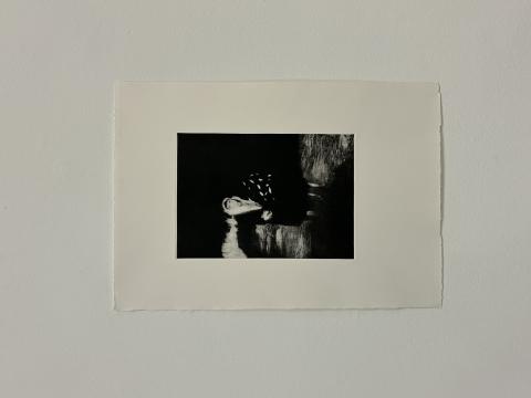'Under its shadow, light touches my skin', Aquatinte, Taille du papier 53x38 cm, Taille de la plaque 30x21,5 cm, 2024