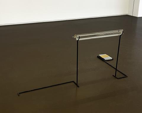 Rosamonde Pacteau 
