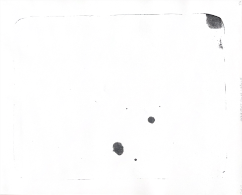 « Horror Vacui V - Baume cicatriciel » 2023, lithographie sur simili japon, 57 x 46,5 cm
