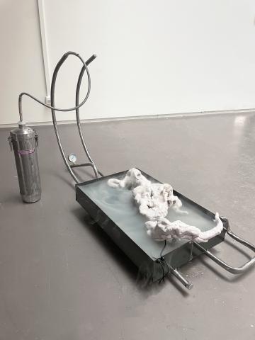Louise Assouly