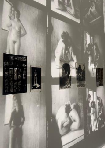  COUNTRY LESBIANS: THE STORY OF THE WOMANSHARE COLLECTIVE