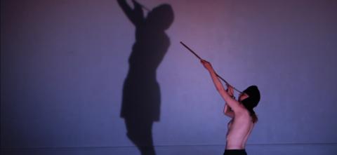 screen from the video @Vincent Durey Diniga