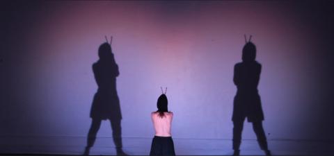 screen from the video @Vincent Durey Diniga