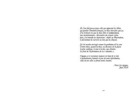 Extrait de memoire ; Lou-Anne Pommé Ameziane, "Note à la cigogne", La cigogne se gave essentiellement de criquets, 2026, p.109.