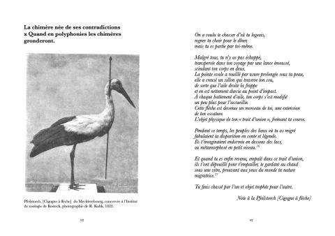 Extrait de memoire ; Lou-Anne Pommé Ameziane, "La chimère née de ses contradictions x Quand en polyphonies les chimères gronderont.", La cigogne se gave essentiellement de criquets, 2026, p.92-93.
