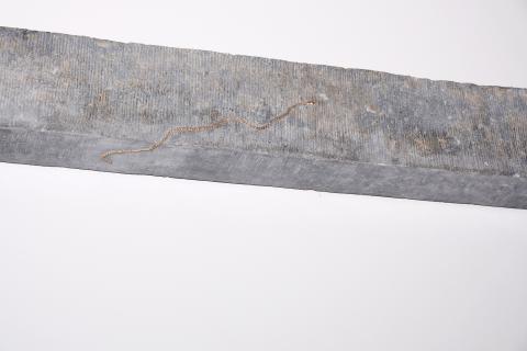 Détail de la pièce ;Au seuil du serpent génie, 2026, Espace Vanderborght - Bruxelles, Linteau en pierre bleue, bronze, métal, 139 x 0,14 m.