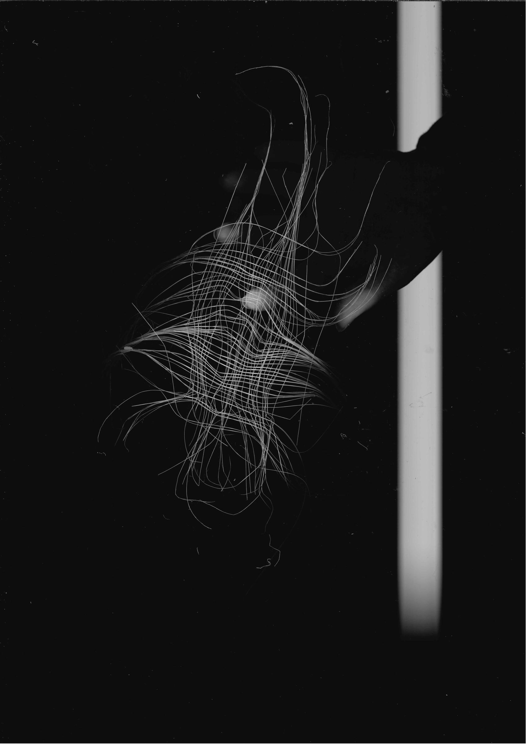 Alice Loubat